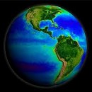 ENVIRONMENTAL MANAGEMENT’S ROLE