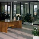 ADVANTAGES OF OFFICE PLANTS